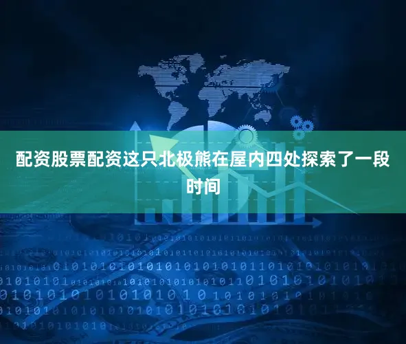 配资股票配资这只北极熊在屋内四处探索了一段时间