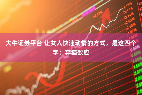 大牛证券平台 让女人快速动情的方式,是这四个字:弃猫效应