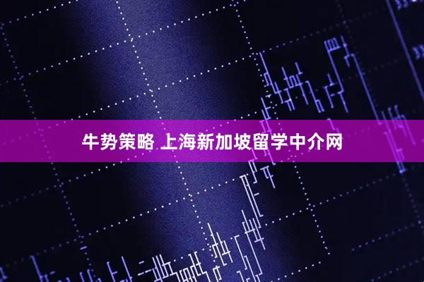 牛势策略 上海新加坡留学中介网